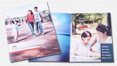 Ibraco Corporate Brochure Design