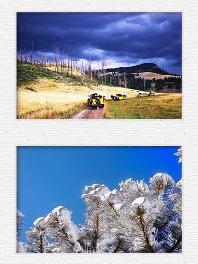 Stagecoach Ride and Snow Frost