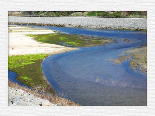 Santa Ana River Trail - River