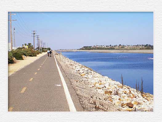 Santa Ana River Trail - Road1